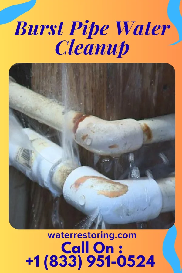 Burst Pipe Water Cleanup in Perryville, MD