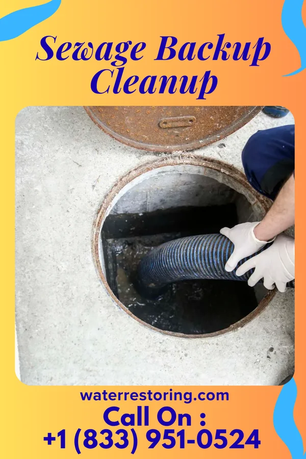 Sewage Backup Cleanup in Perryville, MD
