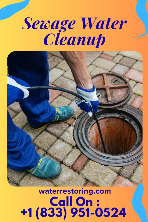 Sewage Water Cleanup in Perryville, MD