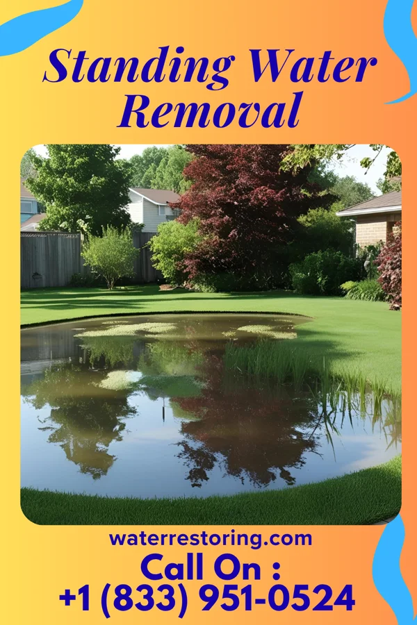 Standing Water Removal in Perryville, MD